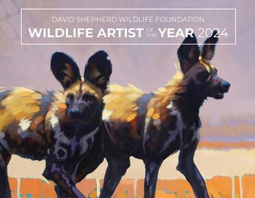 Wildlife Artist Banner