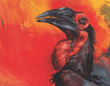 artwork of a red and black bird 