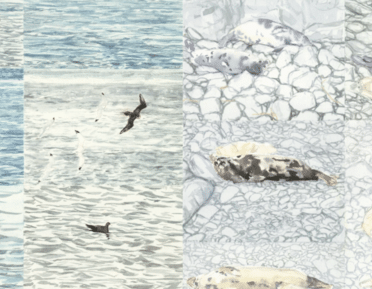 Painting of birds and seals